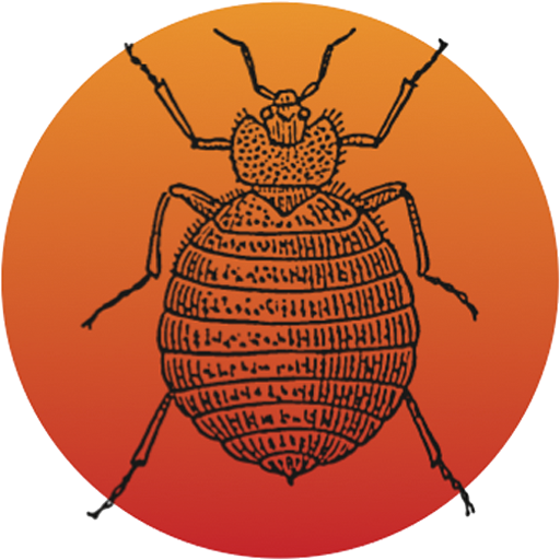 Bed Bug Foundation