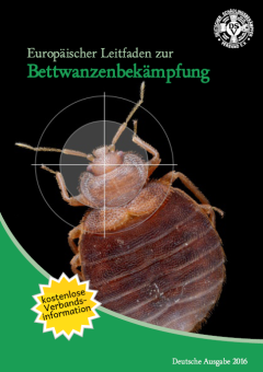 Deutsch - DSV